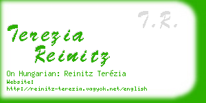 terezia reinitz business card